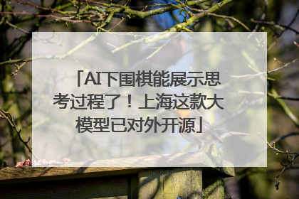 AI下围棋能展示思考过程了！上海这款大模型已对外开源