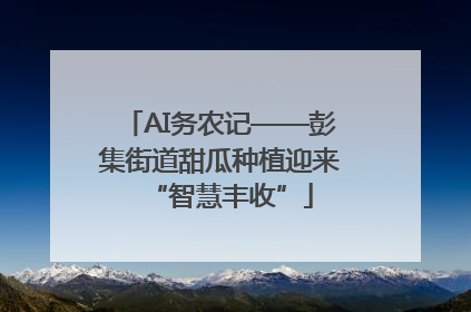 AI务农记——彭集街道甜瓜种植迎来“智慧丰收”