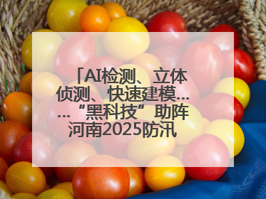 AI检测、立体侦测、快速建模……“黑科技”助阵河南2025防汛综合演练