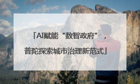 AI赋能“数智政府”，普陀探索城市治理新范式