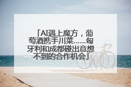 AI遇上魔方，葡萄酒携手川菜……匈牙利和成都碰出意想不到的合作机会