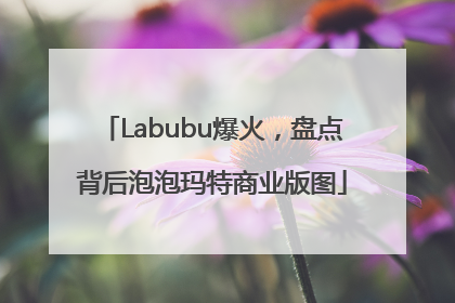 Labubu爆火，盘点背后泡泡玛特商业版图