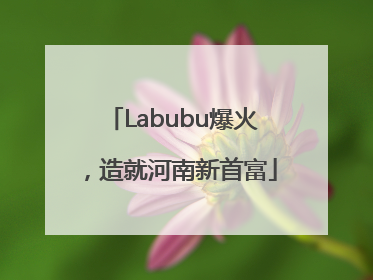 Labubu爆火，造就河南新首富