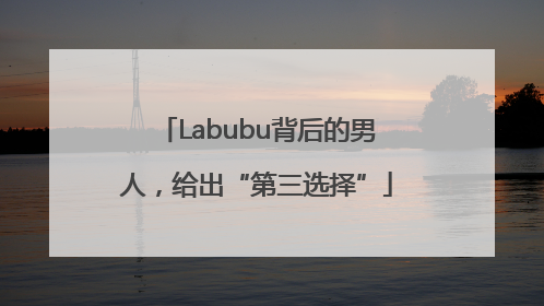 Labubu背后的男人，给出“第三选择”
