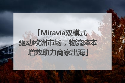 Miravia双模式驱动欧洲市场，物流降本增效助力商家出海