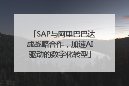 SAP与阿里巴巴达成战略合作，加速AI驱动的数字化转型